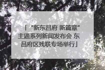 “新东昌府 新篇章”主题系列新闻发布会 东昌府区残联专场举行